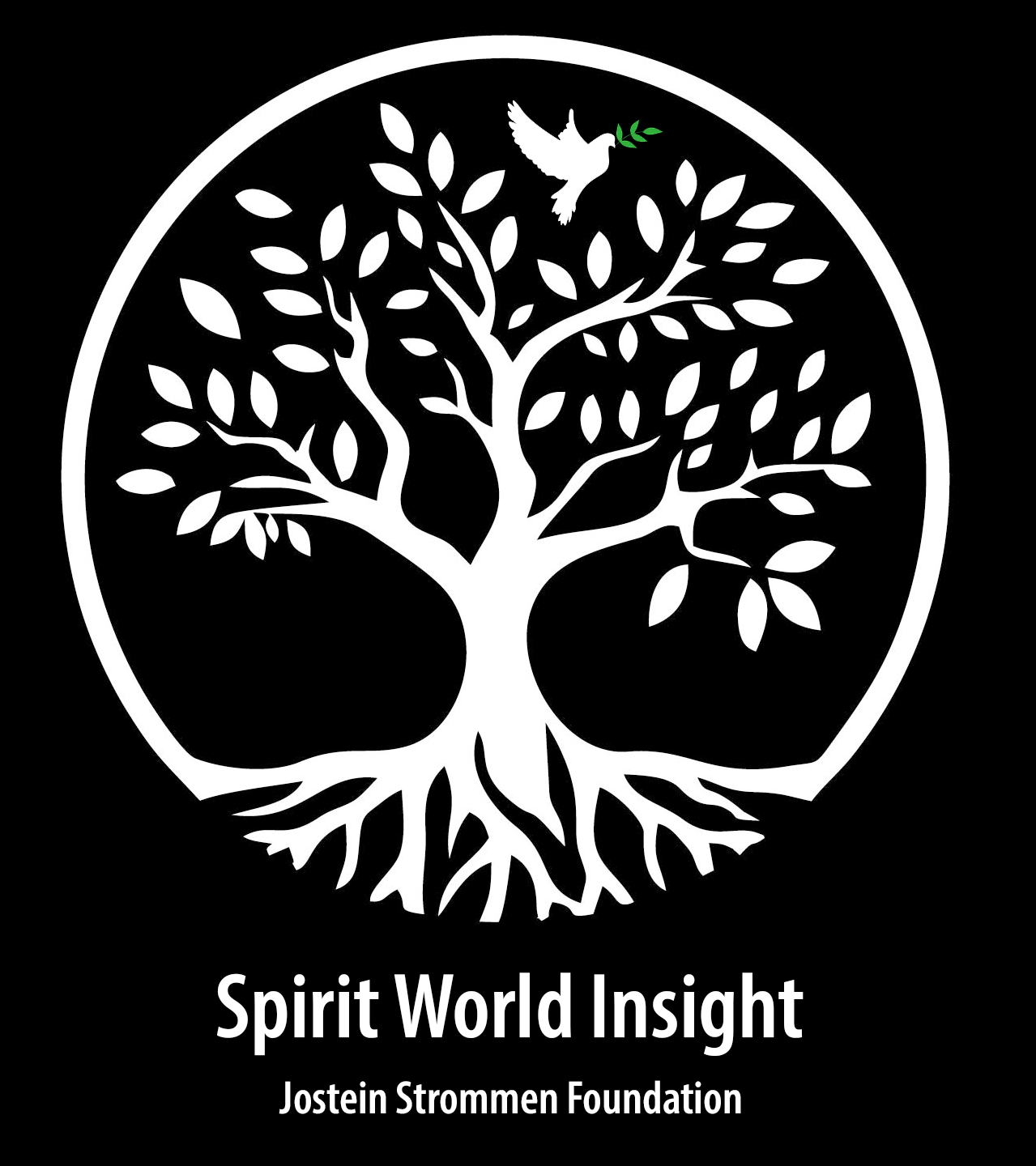 Spirit World Insight